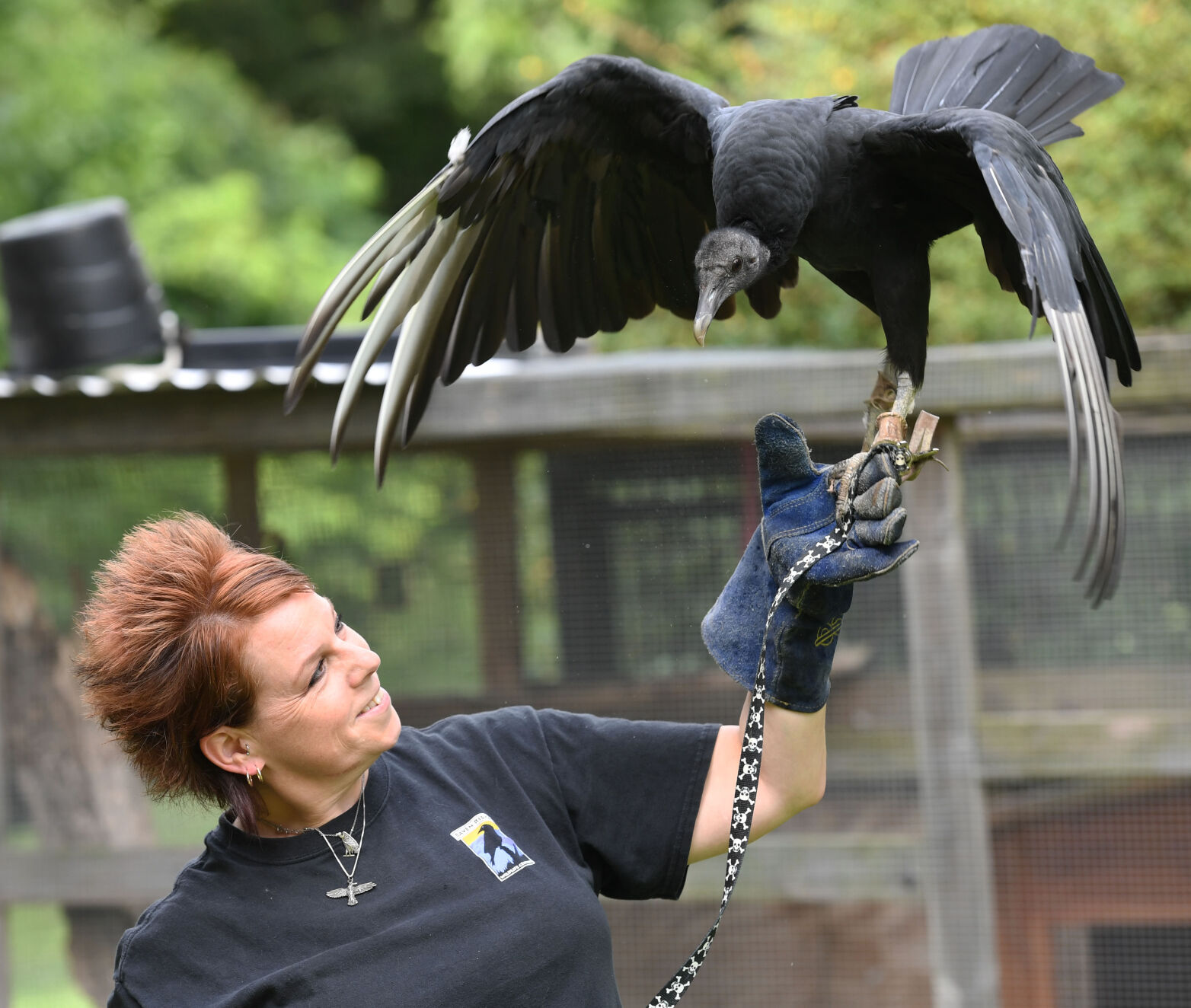 WildlifeRescue001.jpg